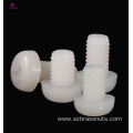 M8 M10 white nylon plastic machine screw